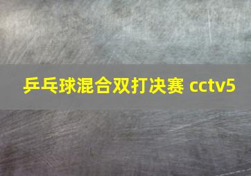 乒乓球混合双打决赛 cctv5